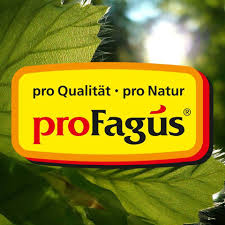 proFagus Buchen-Grillholzkohle im Elli Oil Tank-Shop